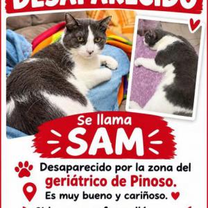 Sam
