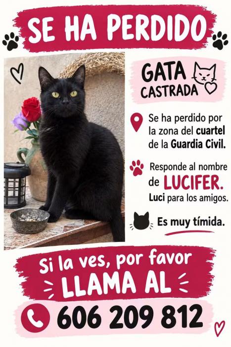 Lucifer /Luci