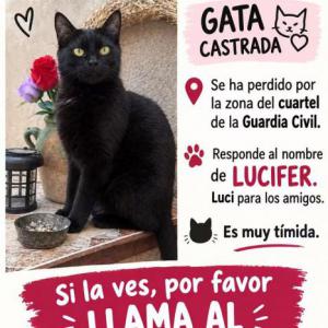 Lucifer /Luci