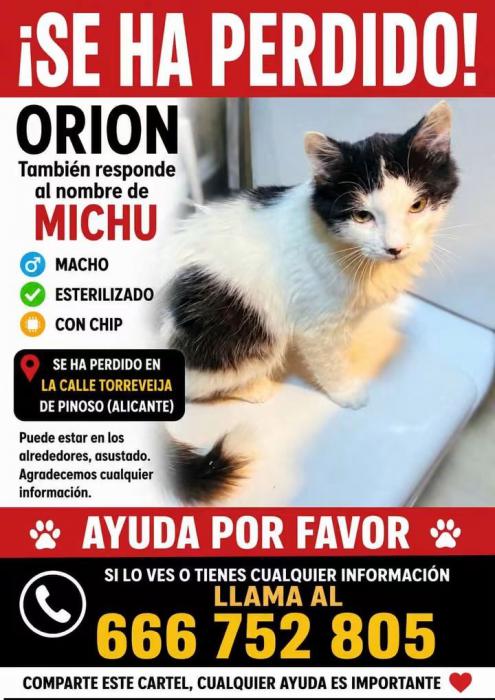Orion
